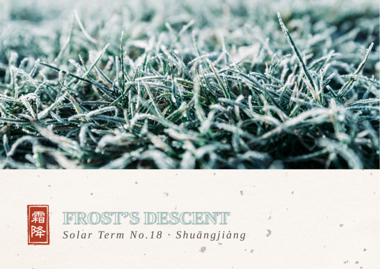 Frost’s Descent: Gathering Warmth as Winter Approaches