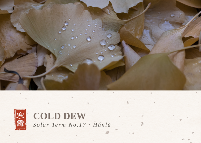Cold Dew
