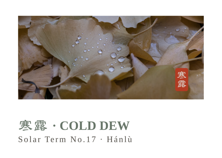 Cold Dew