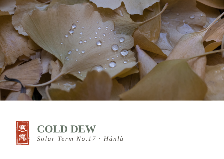 Cold Dew